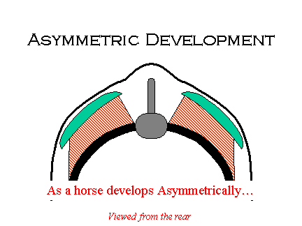 assymmetricdevelopment