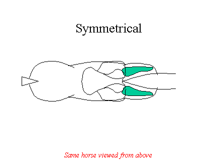 assymmetricsaddle