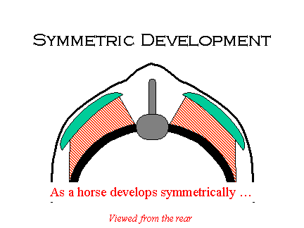 symmetricdevelopment